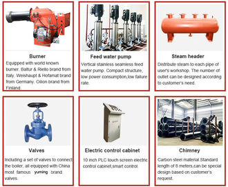New type 0.7Mpa 1.0Mpa wood chips biomass steam boiler